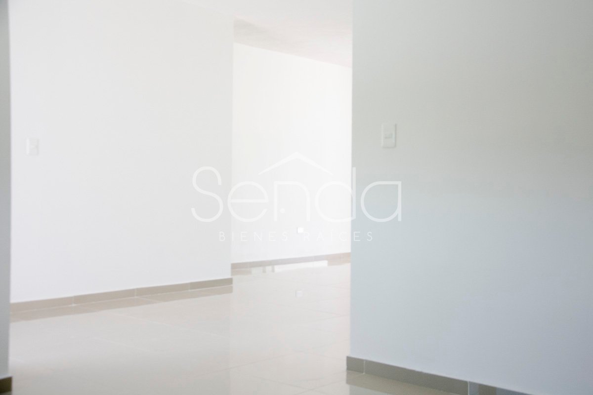 2019-09-10_23_51_18_07_19WE-06_PALMAR IV_15.jpg